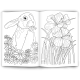 Malbuch BLUMEN
